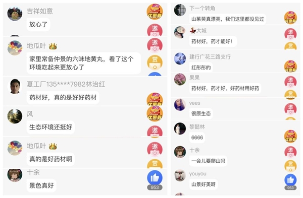 攜手齊魯頻道、同方藥業(yè)，仲景宛西制藥開啟醫(yī)圣故里山茱萸好藥之旅