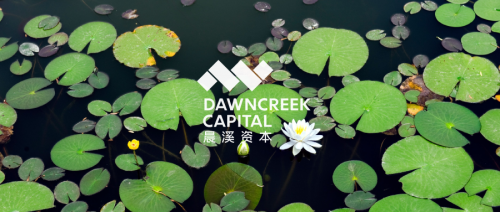 晨溪資本聚焦金融領域，開啟科技賦能金融資管新篇章