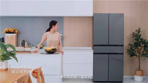 為何海爾智家Leader冰箱再迎新增長？顏值、實力必不可少！