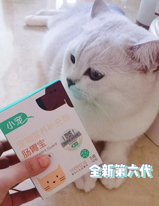 全新第六代小寵腸胃寶來(lái)了 為主子雙11囤起來(lái)！