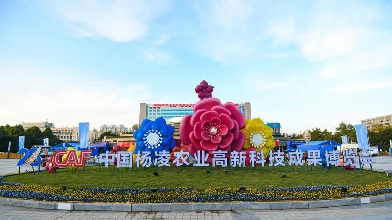 秦龍乳業(yè)一生一養(yǎng)在第28屆中國楊凌農(nóng)高會(huì)斬獲“后稷特別獎(jiǎng)”