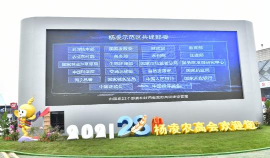 秦龍乳業(yè)一生一養(yǎng)在第28屆中國楊凌農(nóng)高會(huì)斬獲“后稷特別獎(jiǎng)”