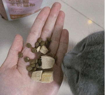 貓糧哪個(gè)牌子好？信元發(fā)育寶貓糧值得無限回購