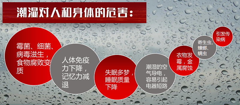 家用除濕機哪個品牌值得買？哪個型號性價比高？