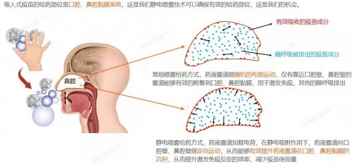 突破！我國云協(xié)同研發(fā)平臺(tái)發(fā)布“吸入式疫苗靶向給藥裝置”
