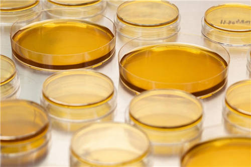 成人益生菌哪種好？迪輔樂用品質(zhì)贏得百萬消費(fèi)者信賴