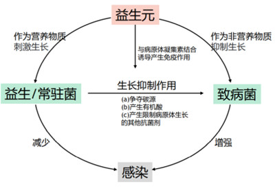 微生態(tài)護(hù)膚時(shí)代來(lái)臨 華熙生物化妝品級(jí)原料新品Biobloom?出擊新賽道