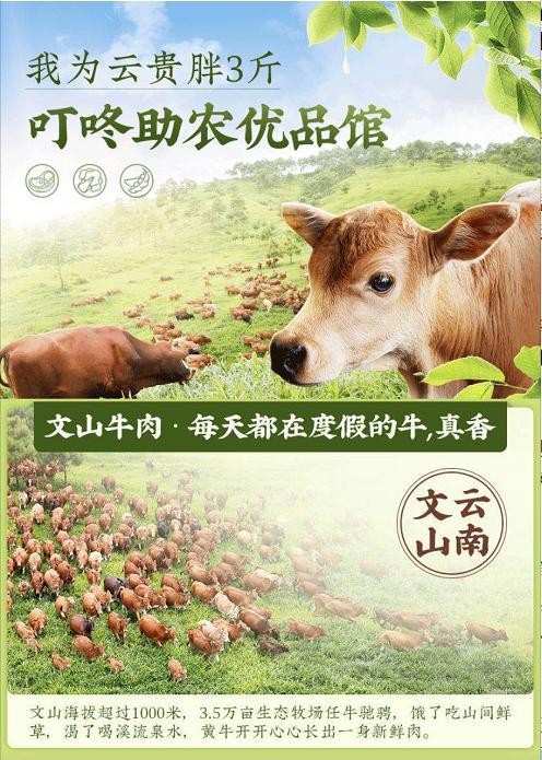 叮咚買菜助力文山牛走出大山?打造致富“牛”名片