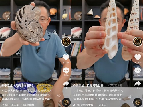 揭秘貝類的前世今生，他在抖音為65萬(wàn)人開(kāi)“貝殼博物館”