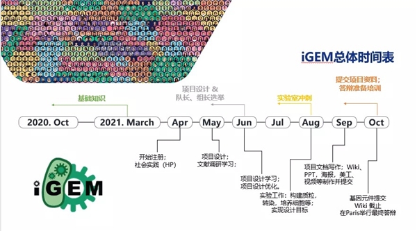全球銀獎(jiǎng)！和世界名校同臺(tái)競(jìng)技，朝陽(yáng)凱文在國(guó)際生物賽事中喜獲殊榮