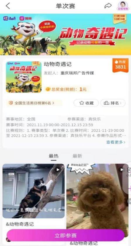 施展你的快樂(lè)魔法 上“真快樂(lè)”APP云擼貓逗狗秀萌寵