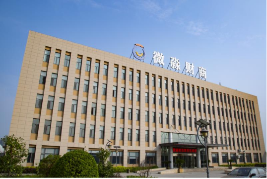 追求共同富裕，從提升財(cái)商素養(yǎng)開(kāi)始，微淼助你成長(zhǎng)