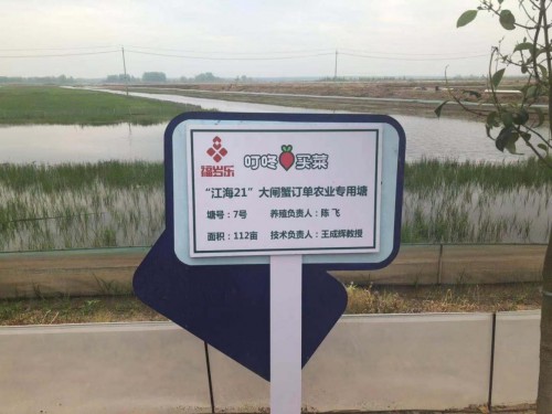 “供應鏈生態(tài)峰會”成功舉辦，叮咚買菜瞄準商品力和供應鏈兩大抓手