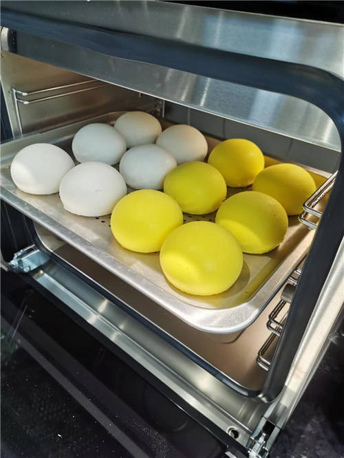 集成灶十大品牌中蒸烤集成灶哪個牌子好？