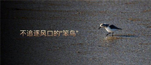 榮耀平板V7 Pro榮耀加冕中關(guān)村在線年度觀察“ZOL推薦”獎項(xiàng)