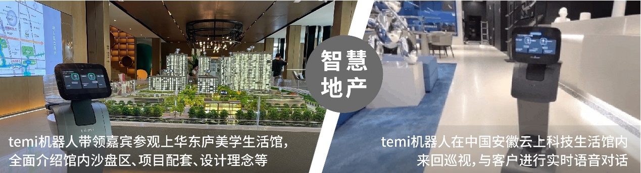 洞見智能：新格局、新活力、新突破，temi穩(wěn)步發(fā)展