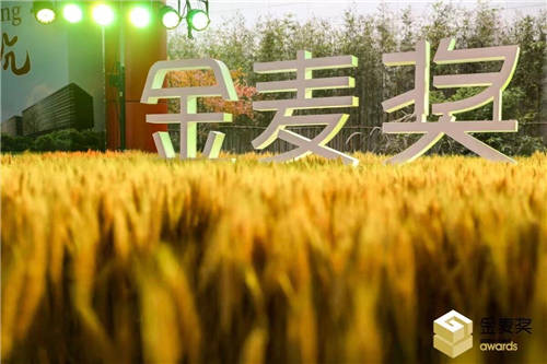 網(wǎng)營(yíng)科技斬獲2021視覺服務(wù)金麥獎(jiǎng)！