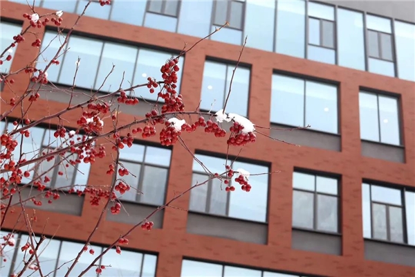 志存高遠(yuǎn)，綻放未來！朝陽凱文建校五周年志慶