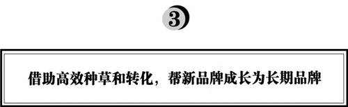 拆解280個(gè)新品牌后，我們發(fā)現(xiàn)了可復(fù)制的四招突圍