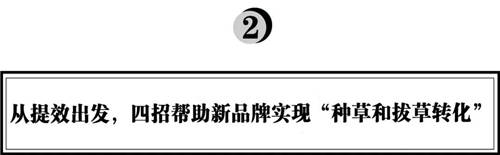拆解280個(gè)新品牌后，我們發(fā)現(xiàn)了可復(fù)制的四招突圍