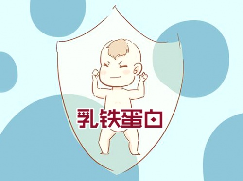 ?乳鐵蛋白奶粉哪個品牌好？這款荷蘭奶粉受到“皇家”認(rèn)可！