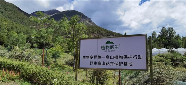 用長期主義譜寫公益之光，植物醫(yī)生堅持生物多樣性保護(hù)