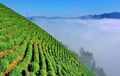 度假到丹寨，體驗(yàn)古香古色的民族風(fēng)情，與丹寨人民共度佳節(jié)