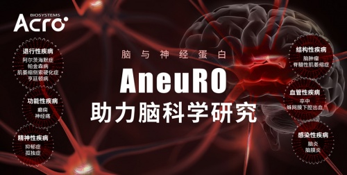 ACROBiosystems百普賽斯推出AneuRO腦與神經(jīng)蛋白，助力加速腦科學(xué)研究