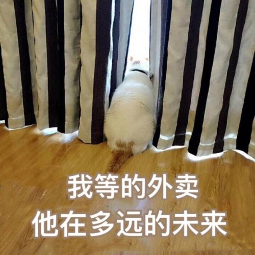 卓思：懶人經(jīng)濟下，專業(yè)上門服務如何尋找最優(yōu)路徑
