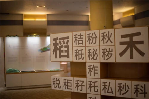 國際中文學(xué)習(xí)平臺(tái)「HopLoong·跳跳龍」完成數(shù)百萬天使輪融資，鯨準(zhǔn)極速融資為其助力