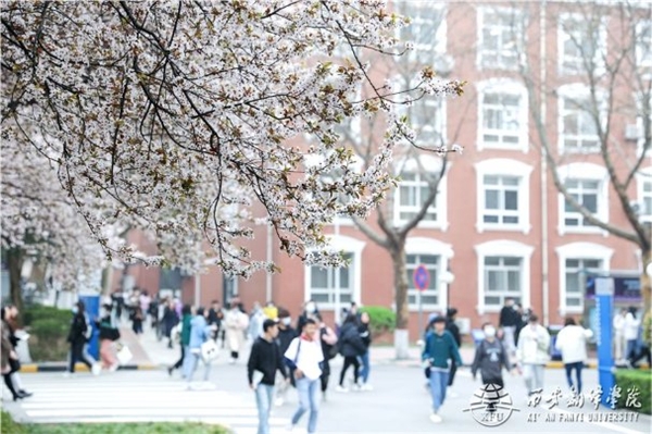 青山紅燭 光照后人——深切緬懷著名民辦教育家、西安翻譯學(xué)院創(chuàng)始人丁祖詒先生
