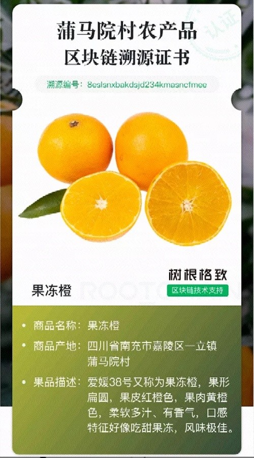工業(yè)和信息化部赴嘉陵調研：工業(yè)互聯(lián)網助力鄉(xiāng)村振興