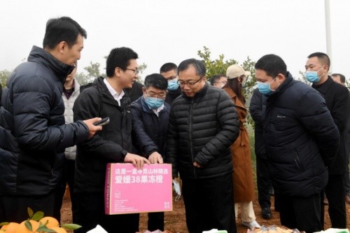 工業(yè)和信息化部赴嘉陵調研：工業(yè)互聯(lián)網助力鄉(xiāng)村振興