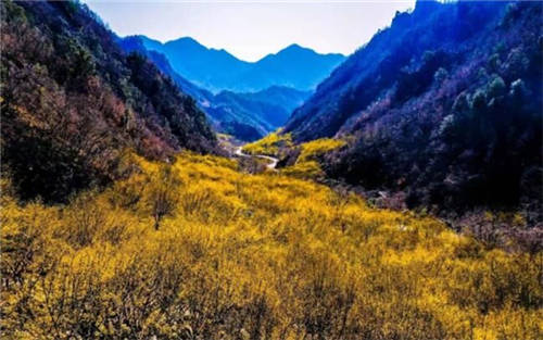 河南衛(wèi)視上映《醫(yī)圣》，仲景文化在傳承