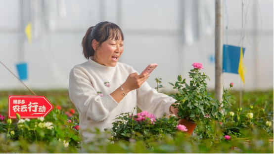 拼多多2022年研發(fā)費(fèi)用首度破百億，將繼續(xù)重投農(nóng)業(yè)科技，滿足用戶品質(zhì)需求970.png