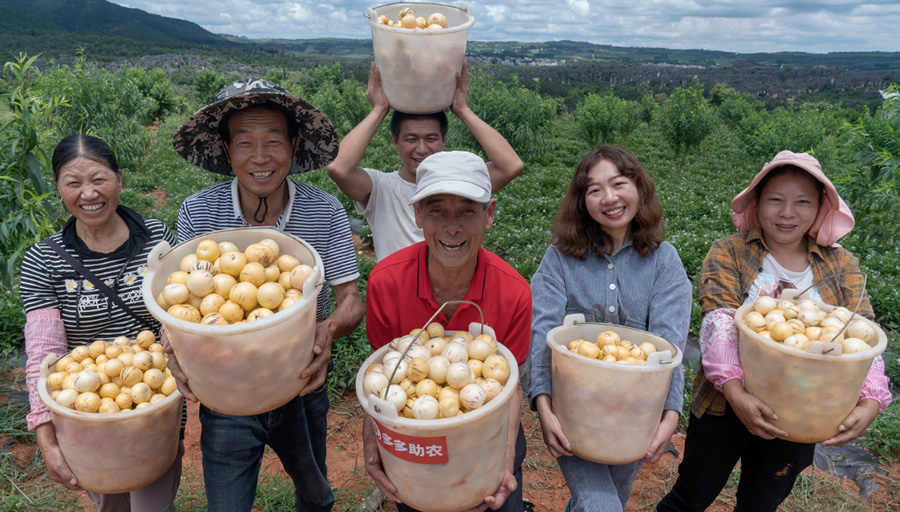 2024中國農(nóng)產(chǎn)品電商發(fā)展報告發(fā)布，拼多多從人與技術(shù)入手培育新質(zhì)生產(chǎn)力.jpg