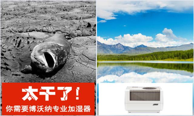 房間太干了，還能用什么加濕器？