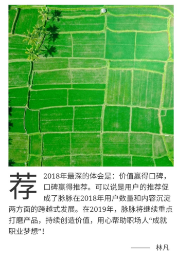 2018職場有“悟” 脈脈“字述一年”活動引全網(wǎng)熱議
