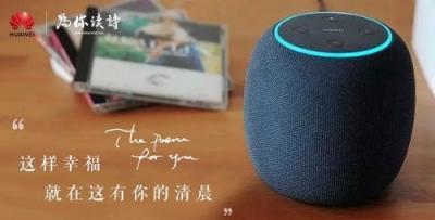用AI傾聽，小提琴大師的樂曲和詩