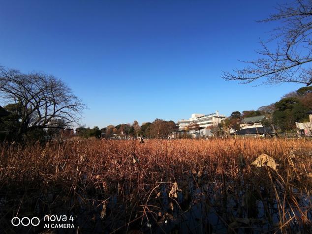 廣角拍攝為什么會成為趨勢？看看華為nova4拍攝的樣張就知道了