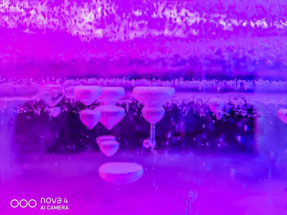 從蒼茫大地到絢麗古都，用華為nova4的超廣角留住一路美景