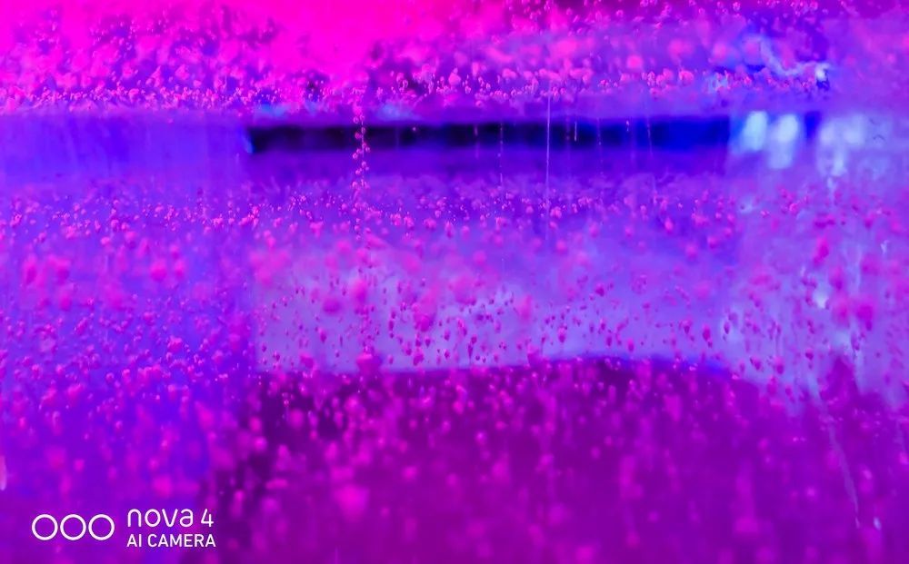 從蒼茫大地到絢麗古都，用華為nova4的超廣角留住一路美景