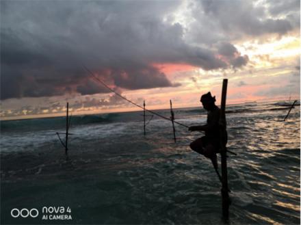 解讀海外華為nova4廣角樣張，大廣角功能讓拍照如虎添翼！