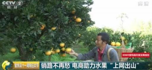 拼多多上市“元年”動作頻出 想證明什么？