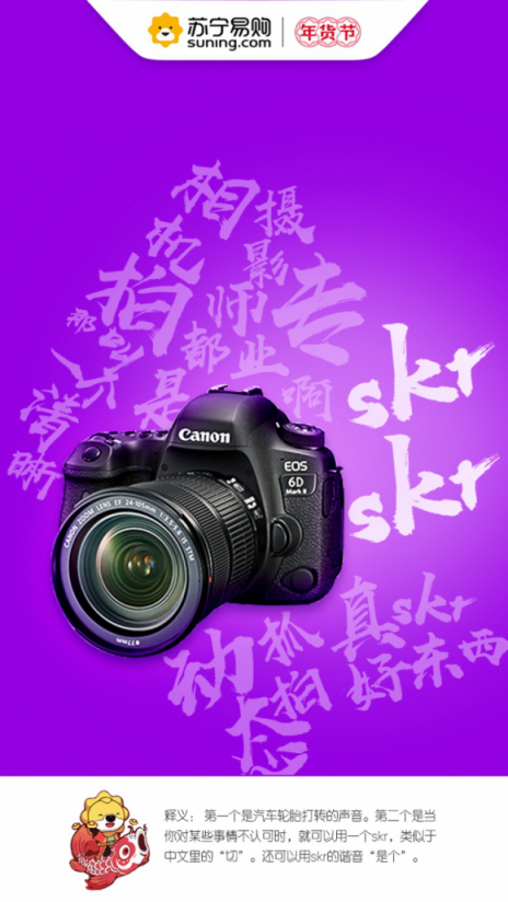 蘇寧數(shù)碼年貨節(jié)8大熱詞，洞見(jiàn)新年新生活