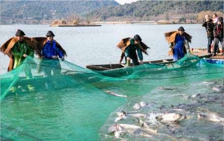 浙江阿拉丁控股集團響應環(huán)境保護政策，助力湘湖年魚節(jié)