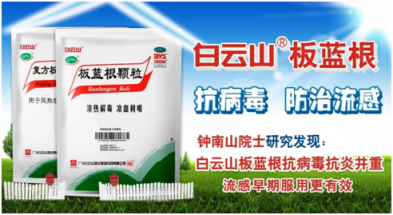板藍根對流感早期有一定的防預(yù)作用