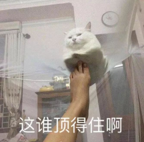 百度春節(jié)要發(fā)10個億，程序猿最近的精神狀況是這樣的