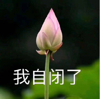 百度春節(jié)要發(fā)10個億，程序猿最近的精神狀況是這樣的