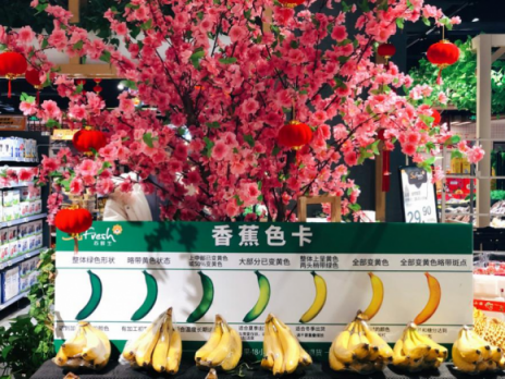 過年店歌大比拼，蘇鮮生“獨家專輯”很深情